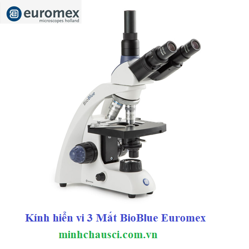 Kính hiển vi 3 mắt BioBlue Euromex, BB.4243, BB.4253, BB.4253‑E (EVO) trino, DIN, Semiplan , 40x-1000x, NeoLED, Köhler NeoLED, 1W